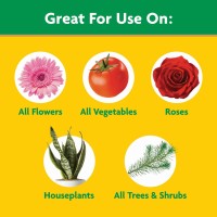 Miraclegro Water Soluble All Purpose Plant Food Fertilizer For Indoor Or Outdoor Flowers Vegetables Or Trees 3 Lbs