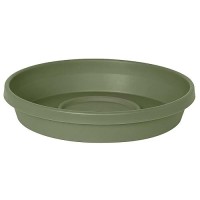 Bloem Terra Pot Round Drain Saucer: - Living Green - Tray For Planters 15-20