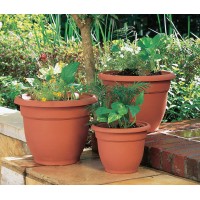 Bloem Ariana Pot Planter: 16