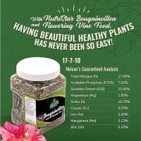 Nelson Plant Food Bougainvillea Fertilizer Outdoor And Indoor Plant Fertilizer All Purpose Plant Food For Vines Easy Use