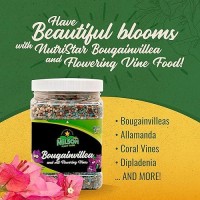 Nelson Plant Food Bougainvillea Fertilizer Outdoor And Indoor Plant Fertilizer All Purpose Plant Food For Vines Easy Use