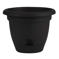 Bloem 010278 Lp1200 Lucca Self Watering Planter  12-Inch  Black