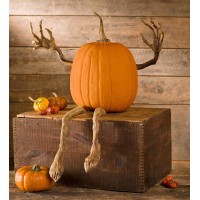 Plow Hearth Set Of 4 Bendable Pumpkin Arms And Legs Create Whimsical Halloween Decor Spooky Vine Design Includes 2 Arms