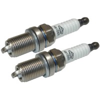 Briggs Stratton 491055S 2 Pack