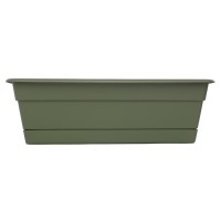 Window Box Grn 30 Pack Of 1