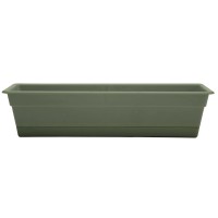 Window Box Grn 30 Pack Of 1