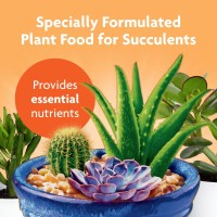 Miraclegro Succulent Plant Food 8 Oz For Succulents Including Cacti Jade And Aloe 1 Pack