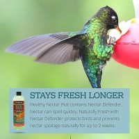 Sapphire Labs Naturally Fresh Hummingbird Nectar With Nectar Defender Lasts Longer In Hummingbird Feeders Clear Hummingbird Ne