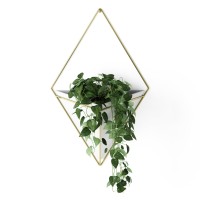 Umbra Trigg Hanging Planter Vase Wall Decor Pot And Container For Succulents Cactus Faux Plants And More Large Whitebrass