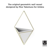 Umbra Trigg Hanging Planter Vase Wall Decor  Pot And Container For Succulents  Cactus  Faux Plants  And More  Large  White/Brass