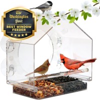 Nature Anywhere Premium Clear Plastic Window Bird Feeder For Outside Window Bird Feeders With Strong Suction Cups Transparen