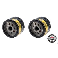 Briggs Stratton 492932S Oil Filter 2 Pack