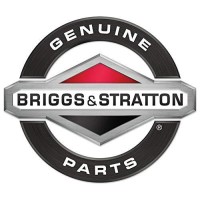 Briggs Stratton 492932S Oil Filter 2 Pack