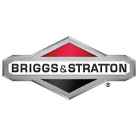 Briggs Stratton 492932S Oil Filter 2 Pack