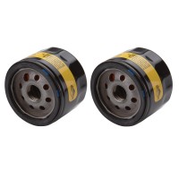 Briggs Stratton 842921 Pack Of 2 Oil Filters