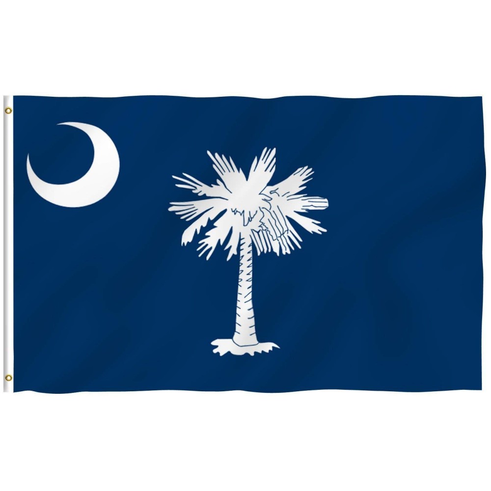 Anley Fly Breeze 3X5 Foot South Carolina State Polyester Flag Vivid Color And Fade Proof Canvas Header And Double Stitched