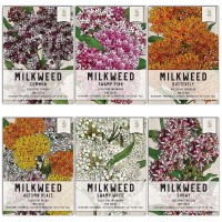 Seed Needs Milkweed Seed Packet Collection To Attract Monarch Butterflies 6 Individual Seed Varieties To Plant Heirloom Unt