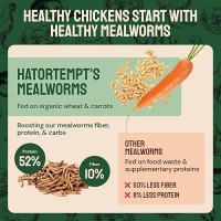 Hatortempt Bulk Dried Mealworms 10 Lbs Premium Organic Nongmo Dried Mealworms For Chickens High Protein Chicken Feed Meal W