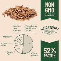 Hatortempt Bulk Dried Mealworms 10 Lbs Premium Organic Nongmo Dried Mealworms For Chickens High Protein Chicken Feed Meal W