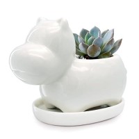 Gelive White Hippo Planter Mini Ceramic Succulent Plant Pot With Tray Saucer Decorative Flower Vase Fun Animal Decor White