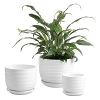 Mygift Modern Ribbed White Ceramic Indoor Plant Pot With Drainage Hole And Attached Saucer Small Succulent Planter Set Of 3