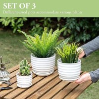 Mygift Modern Ribbed White Ceramic Indoor Plant Pot With Drainage Hole And Attached Saucer Small Succulent Planter Set Of 3