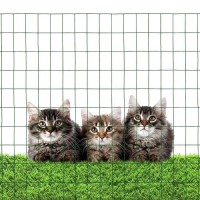 Green Pvc Coated Welded Wire Mesh Garden Economy Fence 48 Inch X 50 Foot3 Inch X 2 Inch 16Ga