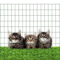 Green Pvc Coated Welded Wire Mesh Garden Economy Fence 24 Inch X 25 Foot3 Inch X 2 Inch 16Ga