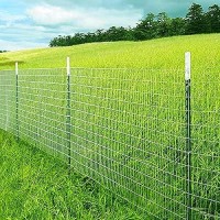 Galvanized Welded Wire Mesh Garden Economy Fence 48 Inch X 50 Foot3 Inch X 2 Inch 16Ga