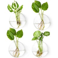 Ivolador 4Pcs Wall Mounted Plant Terrariums Oblate Hanging Glass Propagation Station Container For Propagating Hydroponic Plants