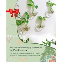 Ivolador 4Pcs Wall Mounted Plant Terrariums Oblate Hanging Glass Propagation Station Container For Propagating Hydroponic Plants