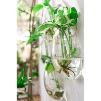 Ivolador 4Pcs Wall Mounted Plant Terrariums Oblate Hanging Glass Propagation Station Container For Propagating Hydroponic Plants