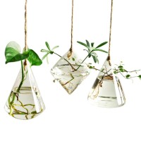 Ivolador Terrarium Container Flower Planter Hanging Glass For Hydroponic Plants Home Garden Decor 3 Type