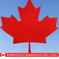 G128 Canada Canadian Flag 3X5 Ft Liteweave Series Printed 100D Polyester Country Flag Vibrant Colors Brass Grommets