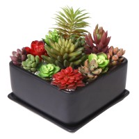 Mygift Modern Black Ceramic Square Indoor Small Planter Flower Succulent Plant Pot With Drainage Hole And Removable Drip Tray