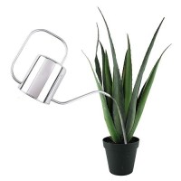 Fasmov 51 Oz Stainless Steel Watering Can Modern Style Watering Pot Watering Can With Long Spout For Easy Pour Water Outdoor G