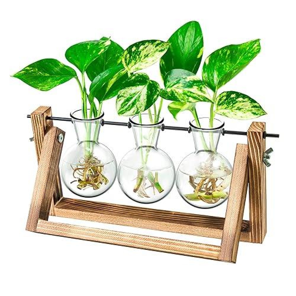 Desktop Propagation Station Plants Terrarium Plants Lover Gifts For Women Plant Cutting Holder Home D Cor Gifts For Women Hou