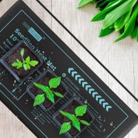 Vivohome 20W Waterproof Seedling Heat Mat For Seed Starting Propagation And Increase Germination Success 10 Inch X 2075 Inch Me