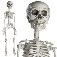 Prextex 30 Halloween Skeleton For Halloween D Cor Day Of The Dead D Cor 25 Ft Full Size Halloween Plastic Skeleton With M