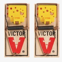 Victor Ez Set Mouse Trap Pack Of 50