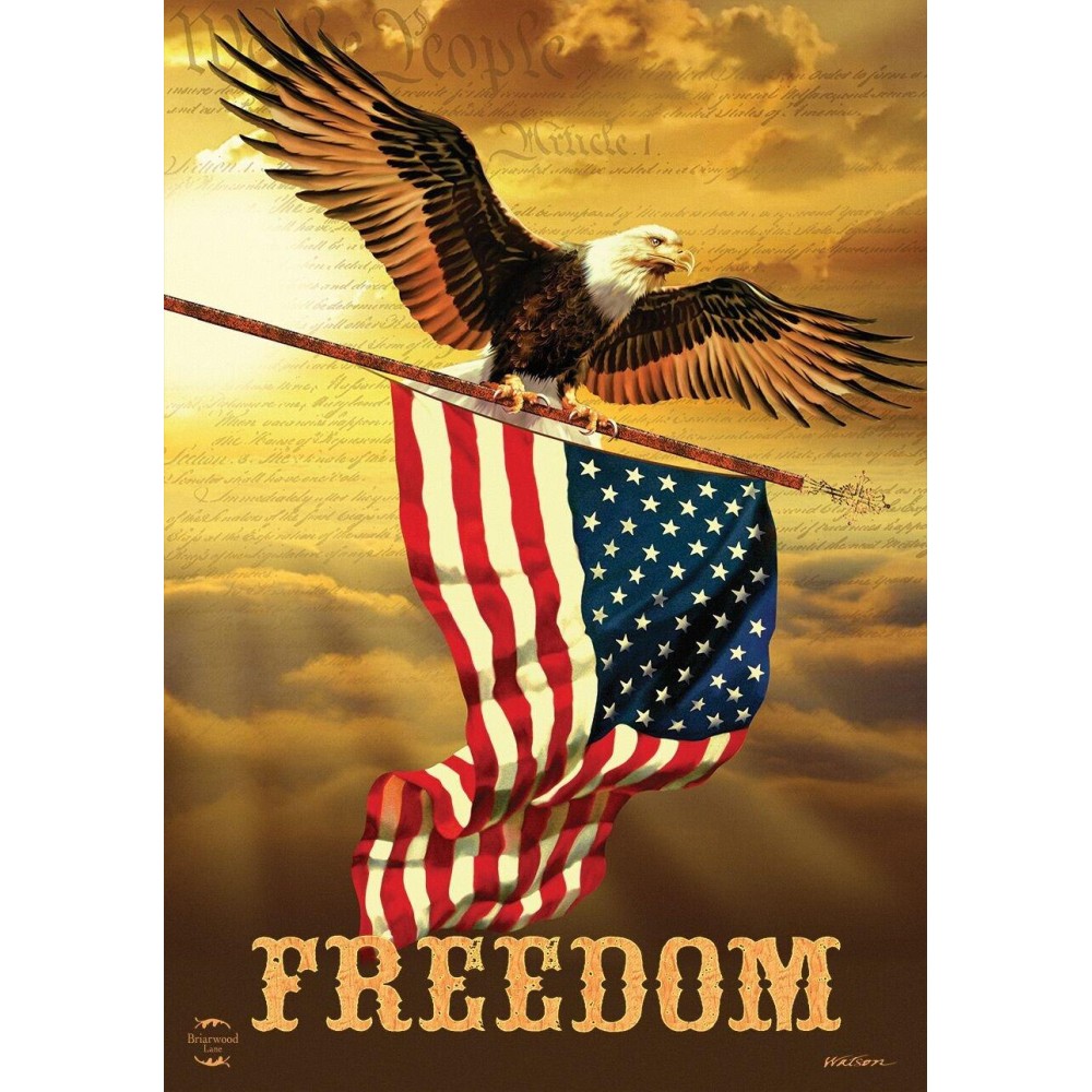 Freedom Patriotic House Flag Bald Eagle Usa 28 X 40 Briarwood Lane