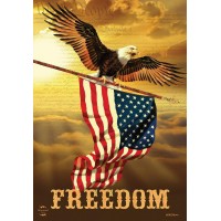 Freedom Patriotic House Flag Bald Eagle Usa 28 X 40 Briarwood Lane