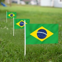 Anley Brazil Mini Flag 12 Pack Hand Held Small Miniature Brazilian Flags On Stick Fade Resistant Vivid Colors 5X8 Inch W