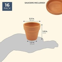 Juvale 2-Inch 16-Pack Small Terracotta Pots With Saucers And Drainage Hole  Paintable Pottery For Succulents  Plants  Flowers  Cactus  Garden Nursery  And Wedding Decor