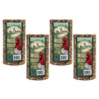 4 Pack Of Mr Bird Wild Bird Feast Cylinder 28 Ox Wild Bird Food For Outdoor Birds Backyard Birdfeeding