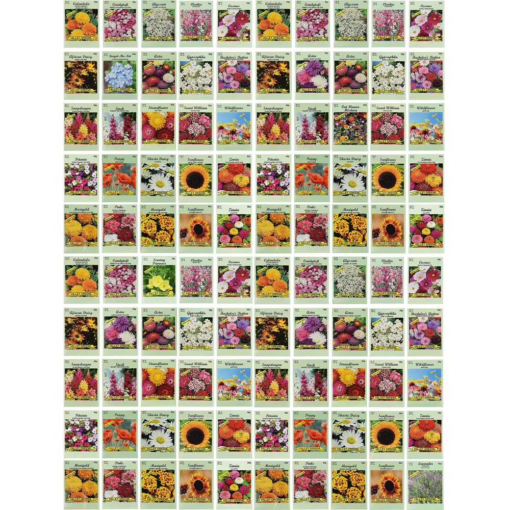 Valley Greene Set of 100 Assorted Flower Seed Packets