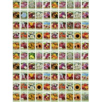 Valley Greene Set of 100 Assorted Flower Seed Packets