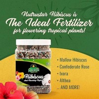 Nelson Plant Food Nutristar Hibiscus Fertilizer Outdoor And Indoor Plant Food Tropical Hibiscus Fertilizer For All Floweri