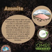 Down To Earth Organic White Azomite Powder For Improving Plant Growth 0002 1 Lb