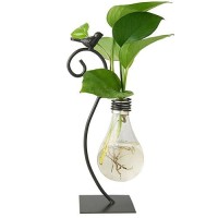 Marbrasse Desktop Glass Planter Hydroponics Vase Planter Bulb Vase With Holder For Home Decoration Modern Creative Bird Plant Terrarium Stand  Scindapsus Container (Bulb Vase)